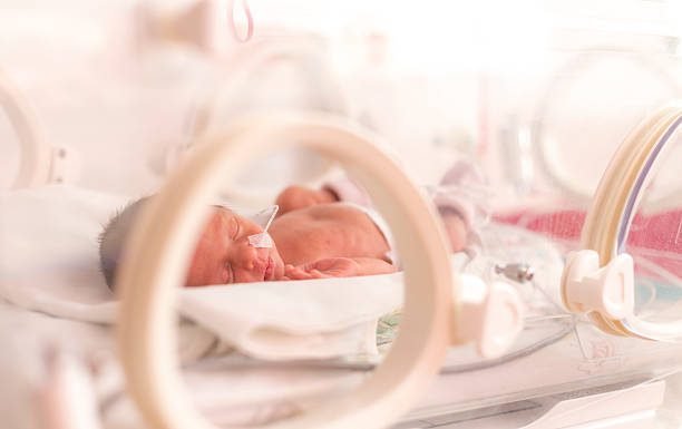 Newborn baby in incubator